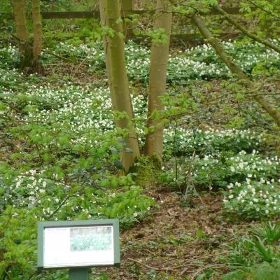 woodland signage 4