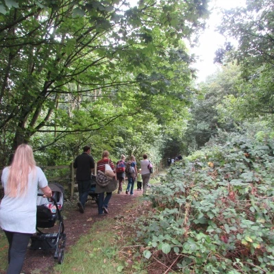 woodland walk celebration 4