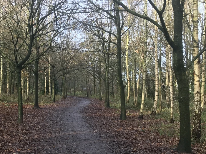 woodlands  grogans walk dec2020 2
