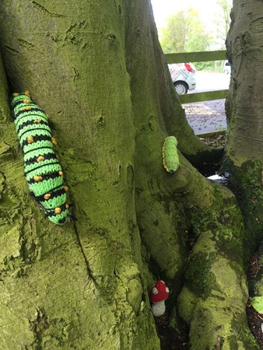 woollen wood  caterpillarlarge