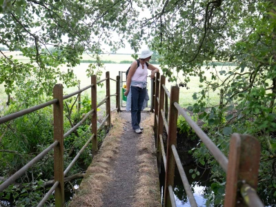 wychert wayimage