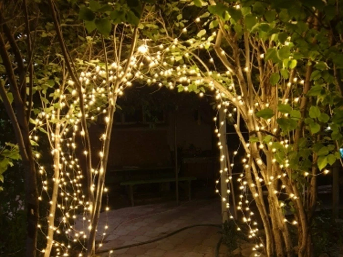 xmas lights 02
