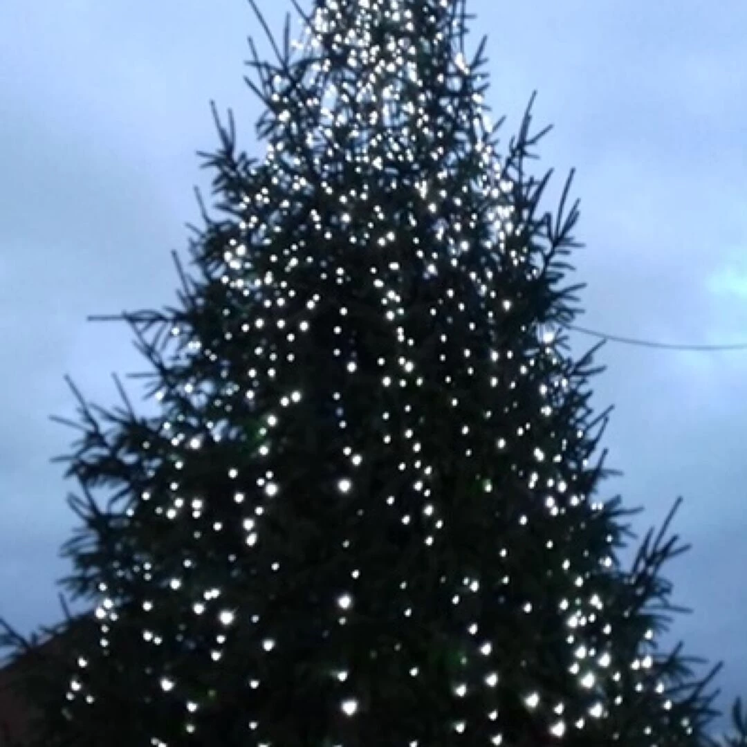 xmas tree 1