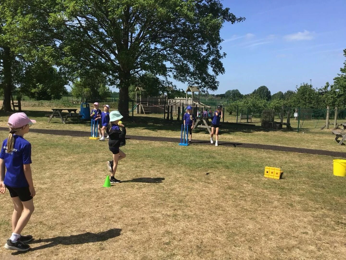 y3 cricket 165