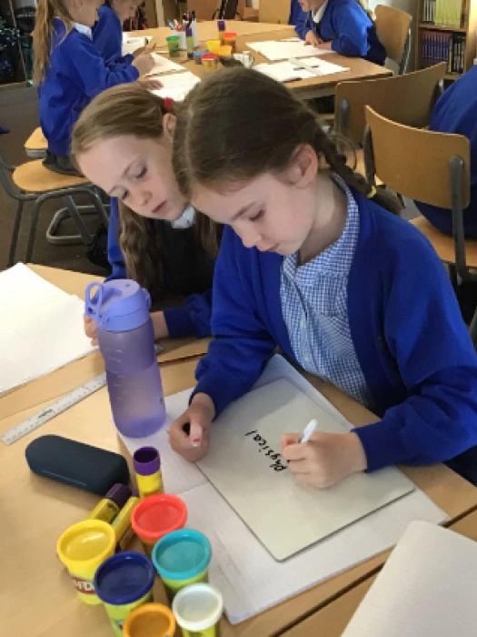 y4 geography coast features